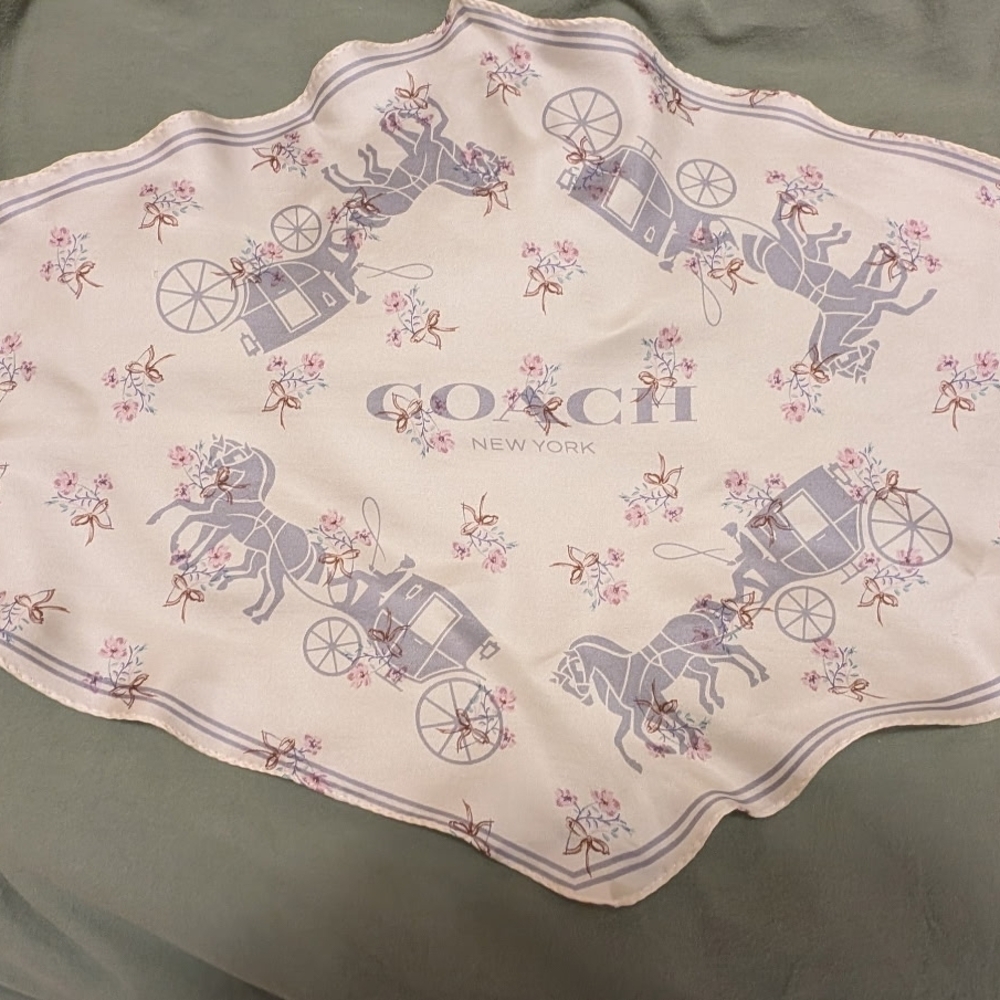 Coach Horse and Carriage Scarf